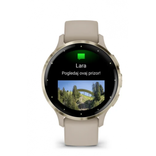 Garmin Venu 3S French Gray Soft Gold